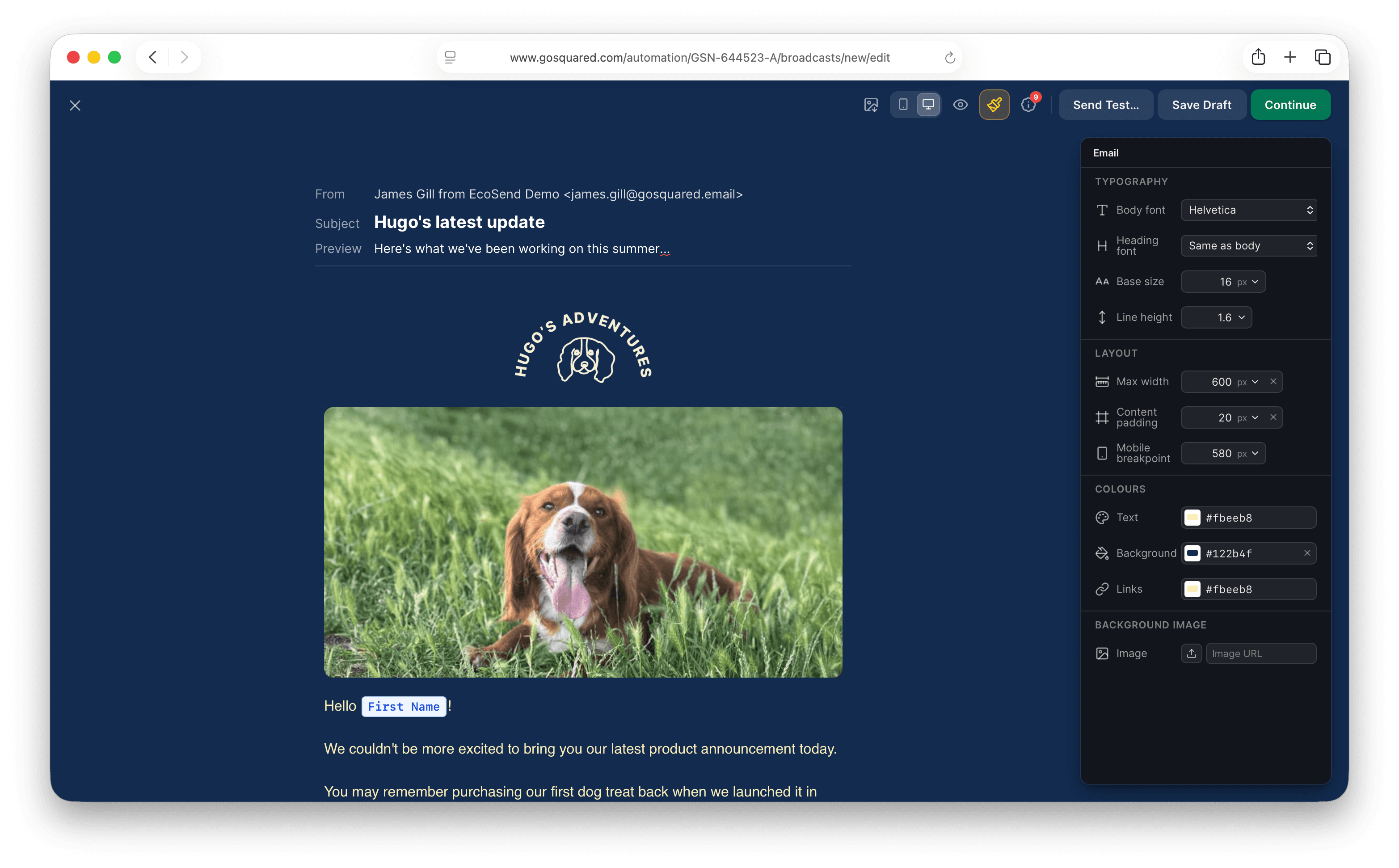 The EcoSend email builder, editing a campaign with a photo of a dog in a field